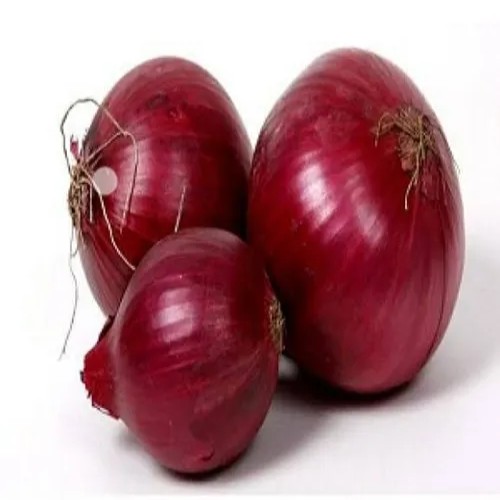 Onion